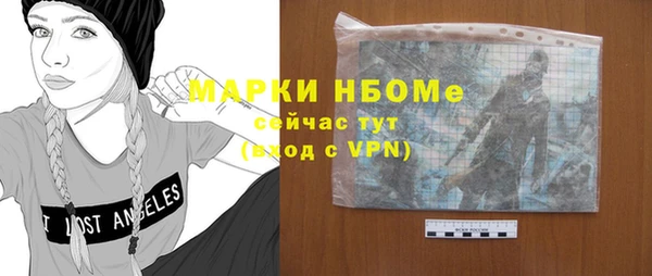 мдпв Рославль